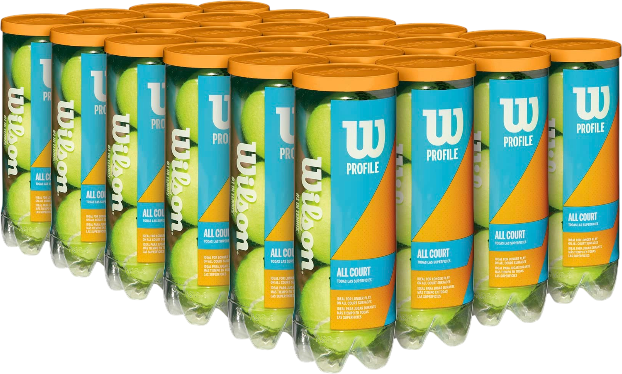 Wilson Profile All Court Tennis Ball Case