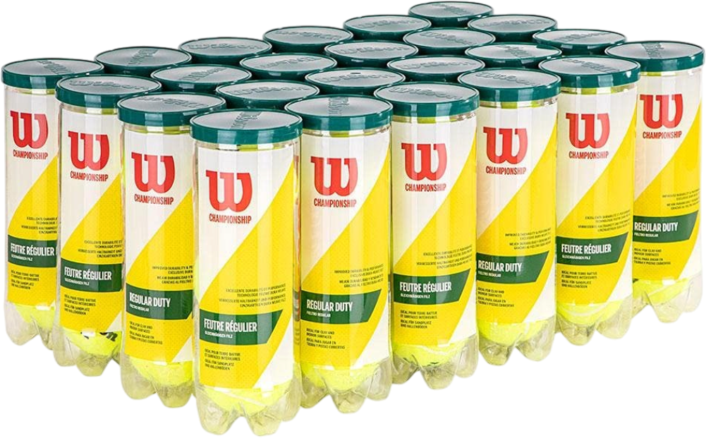 Wilson Championship Regular Duty Tennis Balls