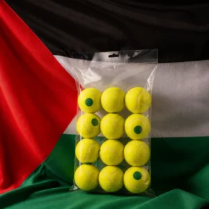 Fort Lauderdale cardio clinics — Volkl Team 1 Green Dot Tennis Balls composed with the national flag of Palestine
