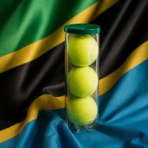 Fort Lauderdale cardiovascular session — Wilson Championship Regular Duty Tennis Balls composed with the flag of Tanzania